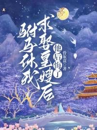 原神开局扮演宇智波斑 天涯白夜