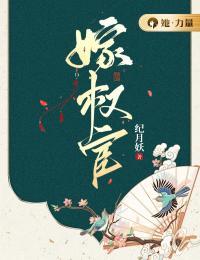 大唐逍遥驸马爷女主角有几个