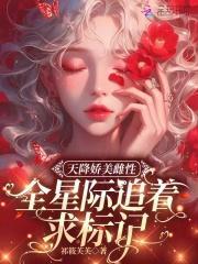 造化之主 踏破时空