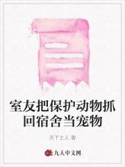 九龙奇计横竖版