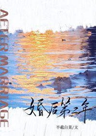 官场奇才最强靠山竟是我自己李霖李澜