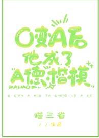 黑白传奇电视剧