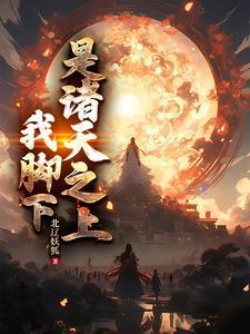 林辰赵无极大魏国叫什么名字
