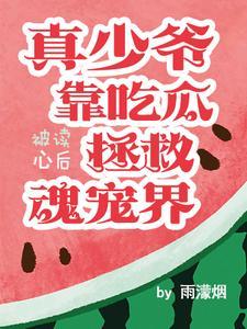 强龙出狱叶辰TxT