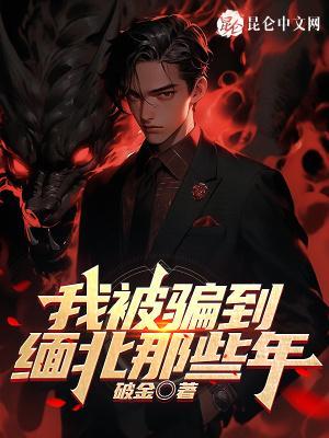 身为金主却怀上怎么办辰风沐乔明