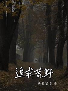 探险家的真实故事