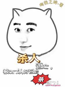 心理追凶分集介绍