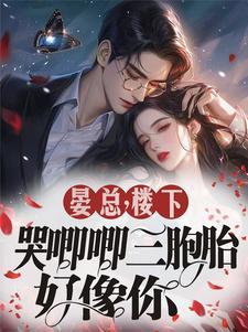楚枫楚月全文免费阅读正版