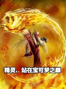我在霓虹建设比奇堡TXT