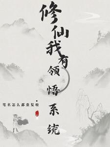 星空望野公司