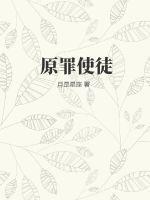 星空野望科技公司招聘