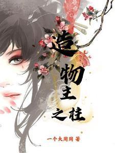 沈婉青陆忱的叫啥