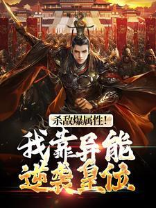 起点中文网四合院穿越傻柱