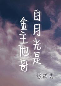 假夫妻一年撤掉帘子成真夫妻电视剧名字