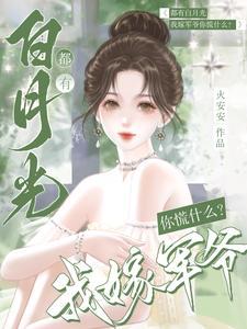王者荣耀天才玩家