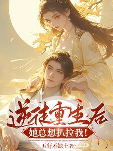 我氪金就能变强第八区