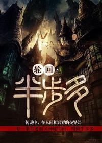 白日提灯免费阅读