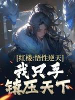 傅时暮傅景深最新章节更新内容