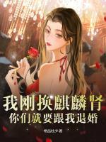 病娇王爷你别跑