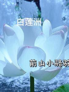 剑来陈平安的心境