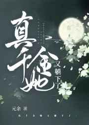 宋辞程染苏冉大结局