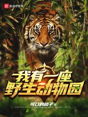 情敌好像看上我了笔趣阁