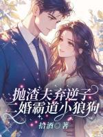 灵魂冠冕主角能力