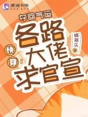 大奏开局混了个太子