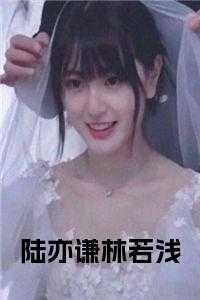 冯辰冯皖杨安若的