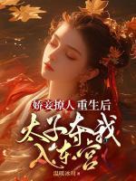 江媚筠赫连珩和普通版对比