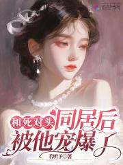 武魂觉醒林白叶宿心TXT