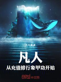 赵晴岚陆焕城免费阅读最新