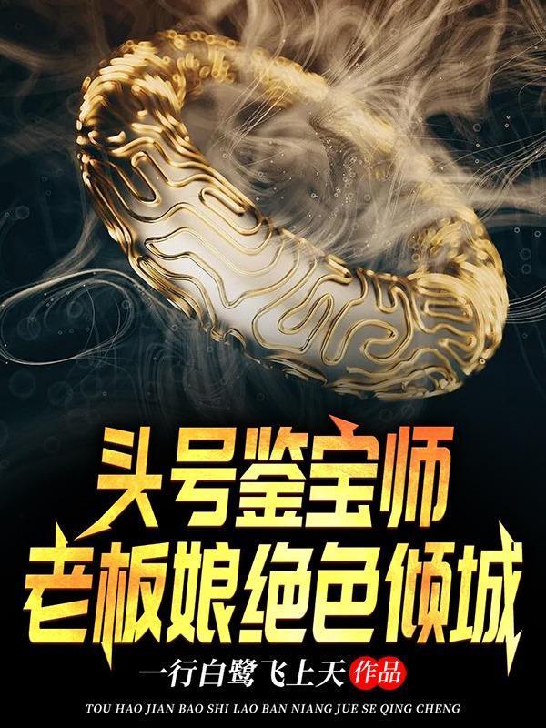 山村小神医乡村生活