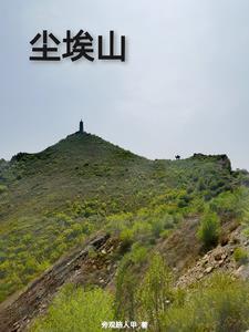 卦妃成京城团宠师折月