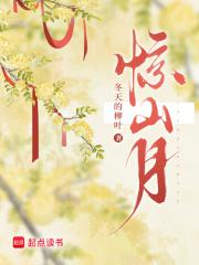 黄金遁全文免费阅读