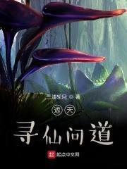 莲花落乞食歌