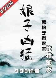 剑来十境武夫