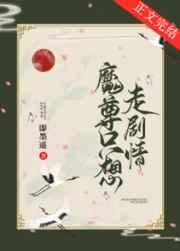 剑来武夫最高境界