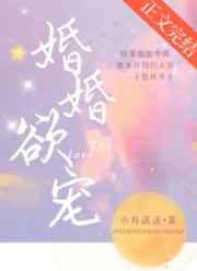 闪婚 神秘老公