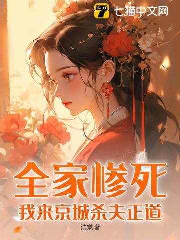 在你眉梢点花灯免费阅读