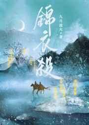 足球国家队不败