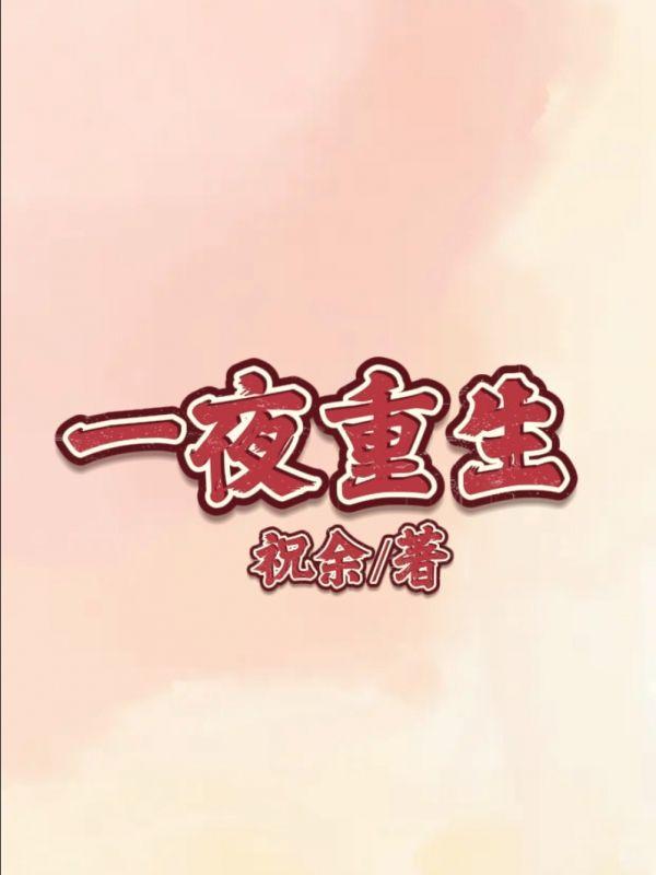 小熊和小兔子的温馨日常故事