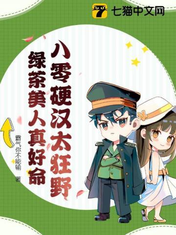 主人公叶天明