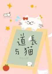 粉丝收入