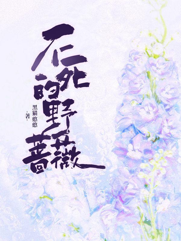龙珠穿越成孙悟空的系统