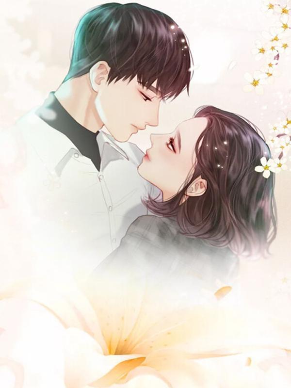 创世序列存档