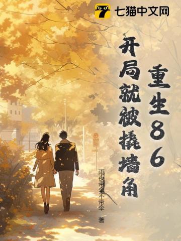 林先生的视频