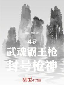 不良人天罡传