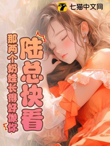 镇国太子爷txt