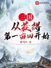 你是我的人间骄阳下一句